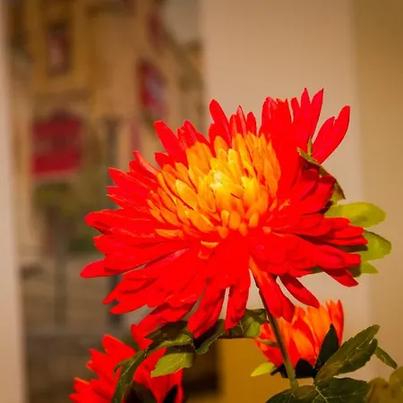 Infinity Horizon Duplex By Aura アパート *